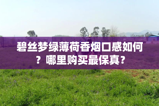 碧丝梦绿薄荷香烟口感如何？哪里购买最保真？